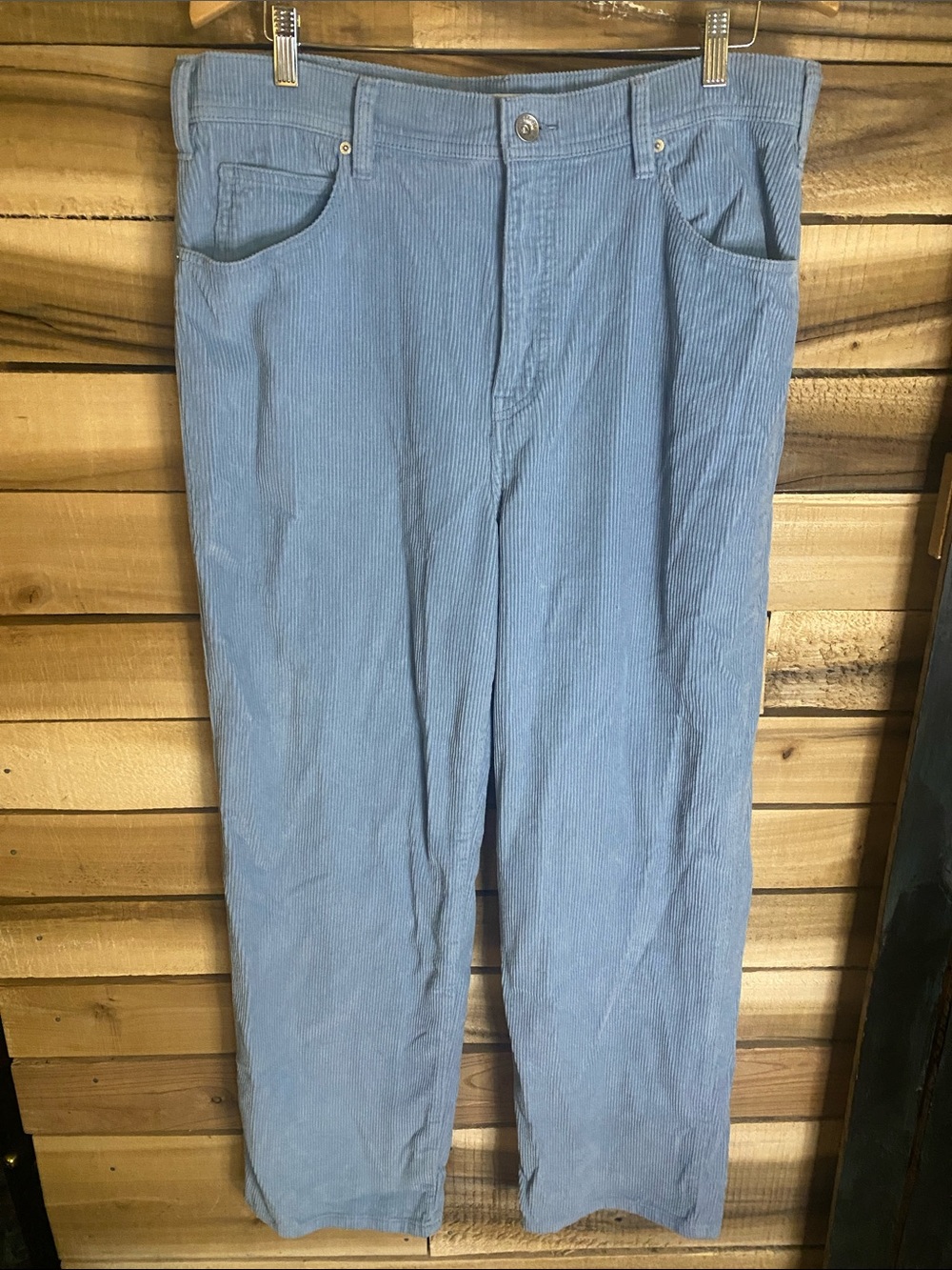 BDG Light Blue Corduroy Men’s Pants size 34x32